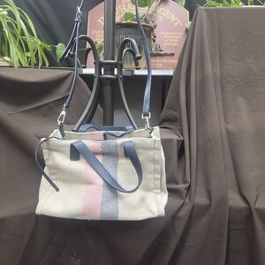 Kate Spade Blue and Pink Striped Crossbody Bag